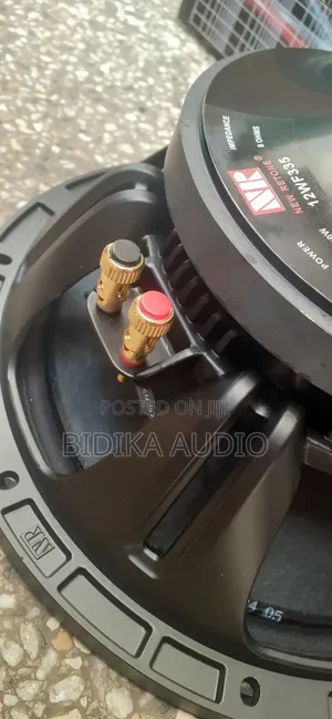 New Professional Naked Speaker