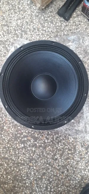 Original Professional Loudspeaker