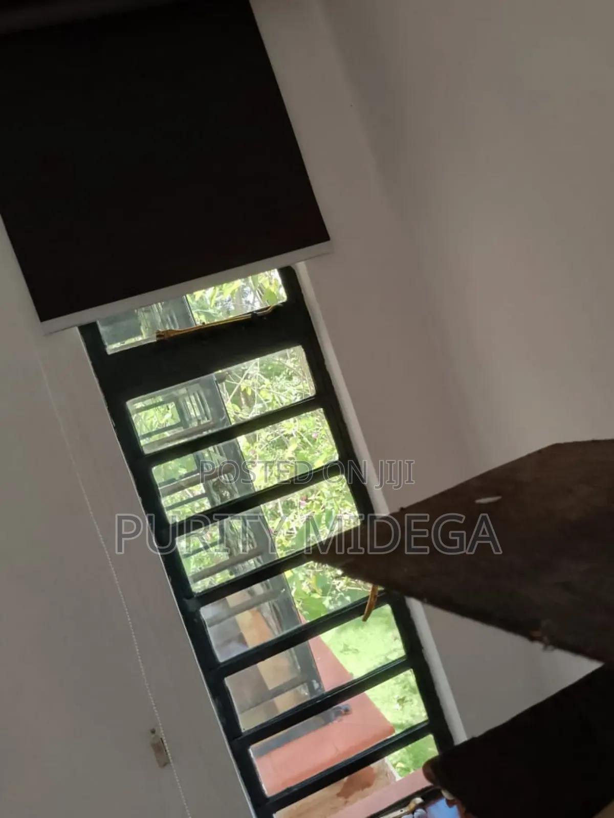 Orange Sheer/Zebra Roller Blinds