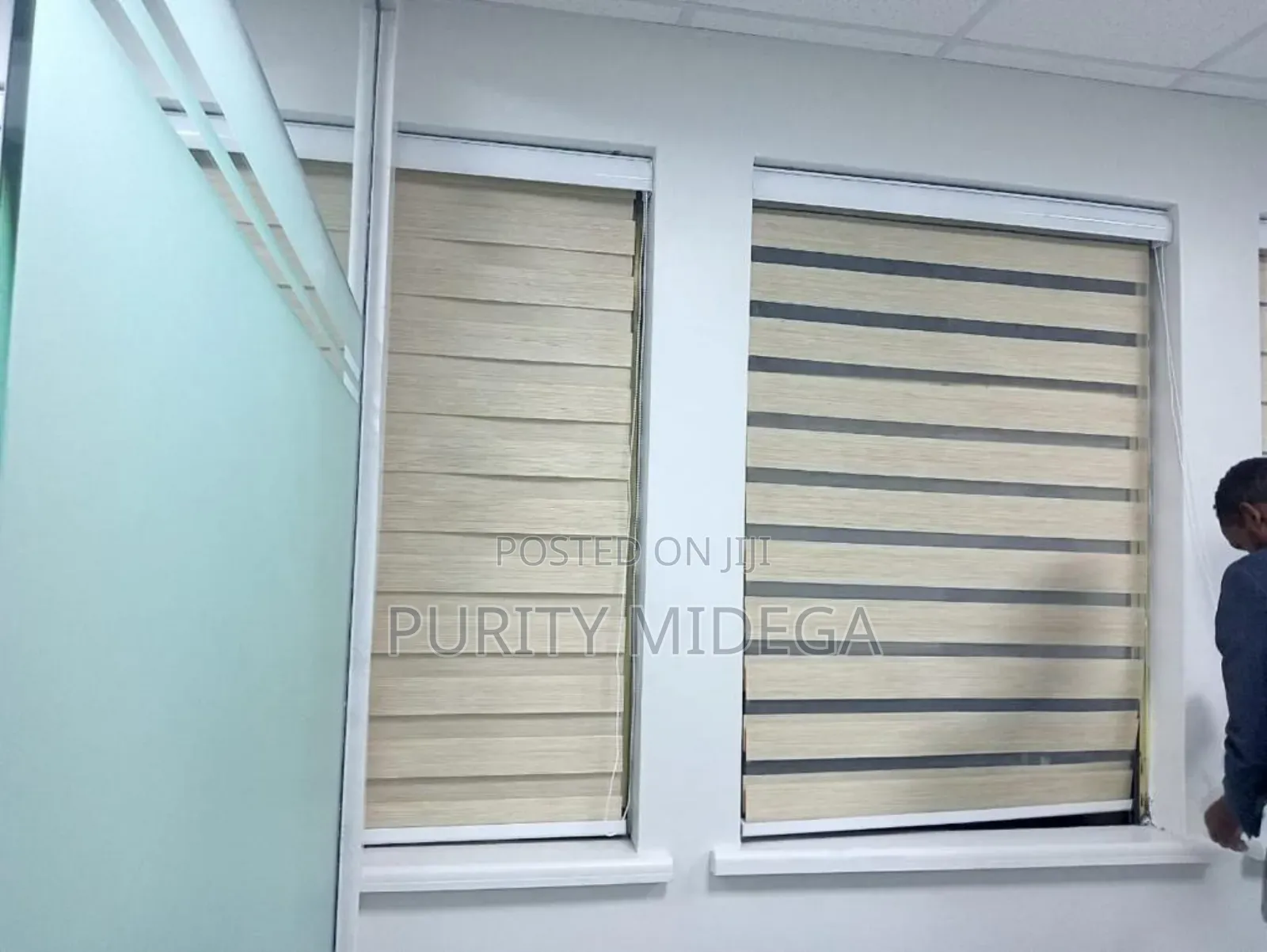 Modern Office Curtain Zebra Blinds