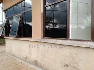 Window Tints