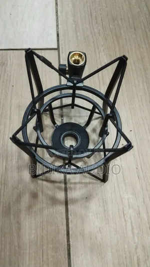 Akg P220 Shock Mount