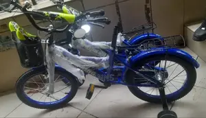 Size 12 Lion King Bike