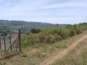 Mua Hills 1 Acre Land -