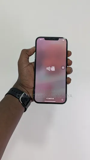Apple iPhone 12 Pro Max 256 GB Gray