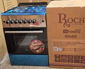 60*60 Roch Silver 3+1 Standing Cooker