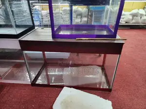 Small Locally Made Aquarium
