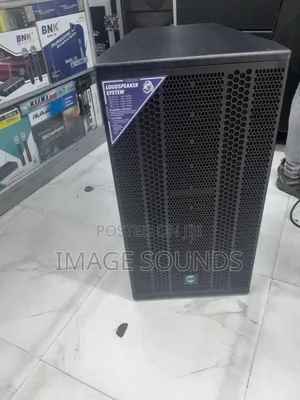 Zy 15inch Speaker (Long -Through Sound)