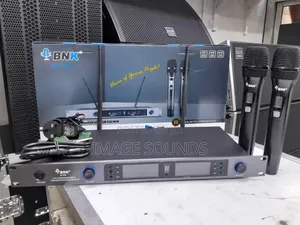 UHF Two Channel Wireless Microphone (Bnk Is25)