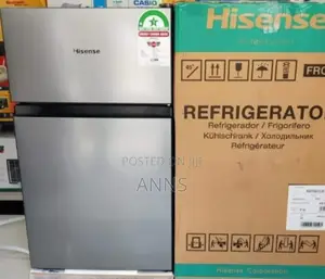 Hisense 91L Double Door Exceptional Fridge