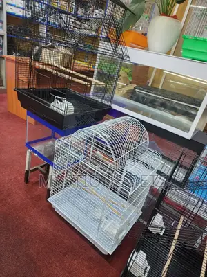 Bird Cages