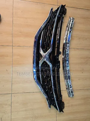 Front Grille Toyota Mark X