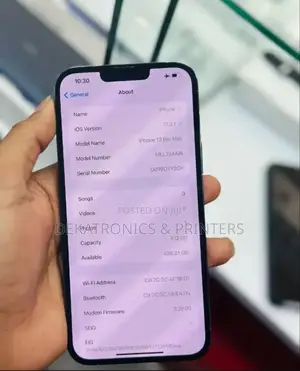 Apple iPhone 13 Pro Max 256 GB Blue