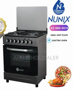 Nunix 60×60 3+1 Freestanding Cooker Electric Oven Nu-3