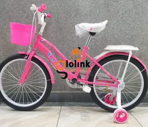 Lady Bird Size 16 Kids Bike