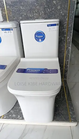 Wc 306 High Quality One Body Toilet