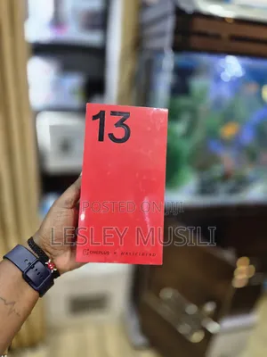 New OnePlus 13 256 GB Gray