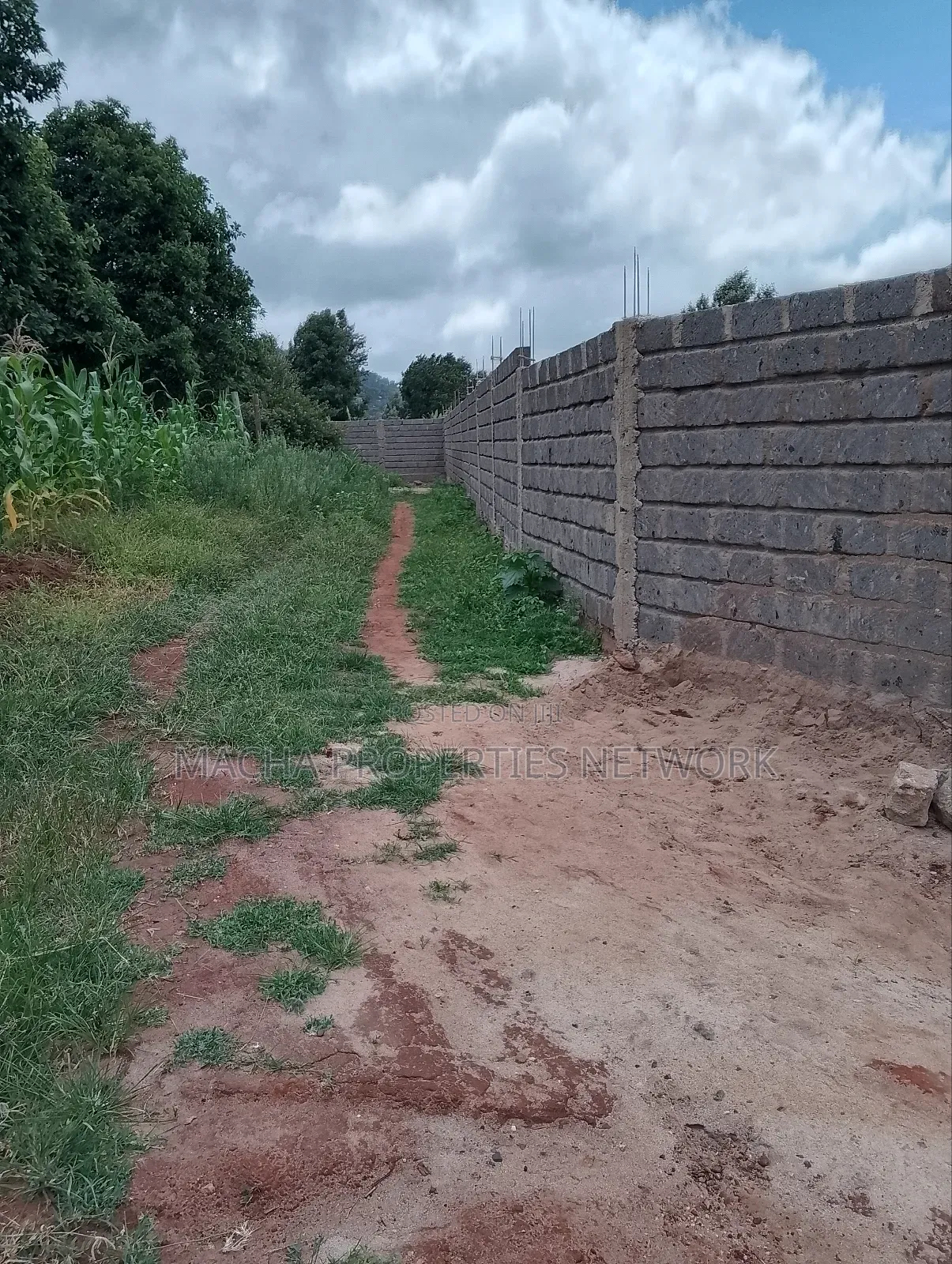 50 by 100ft Plot -Machakos -Mumbuni