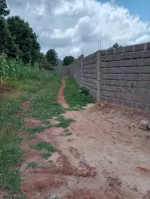 50 by 100ft Plot -Machakos -Mumbuni