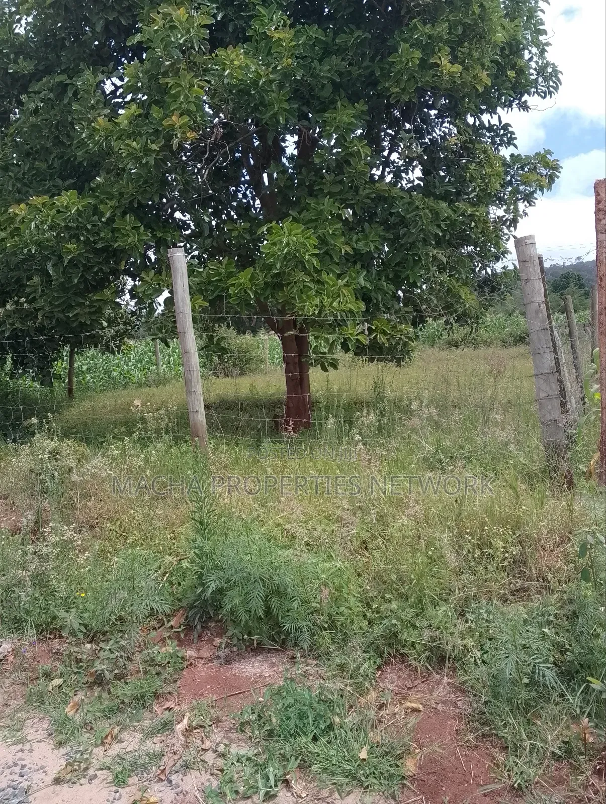 50 by 100ft Plot -Machakos -Mumbuni
