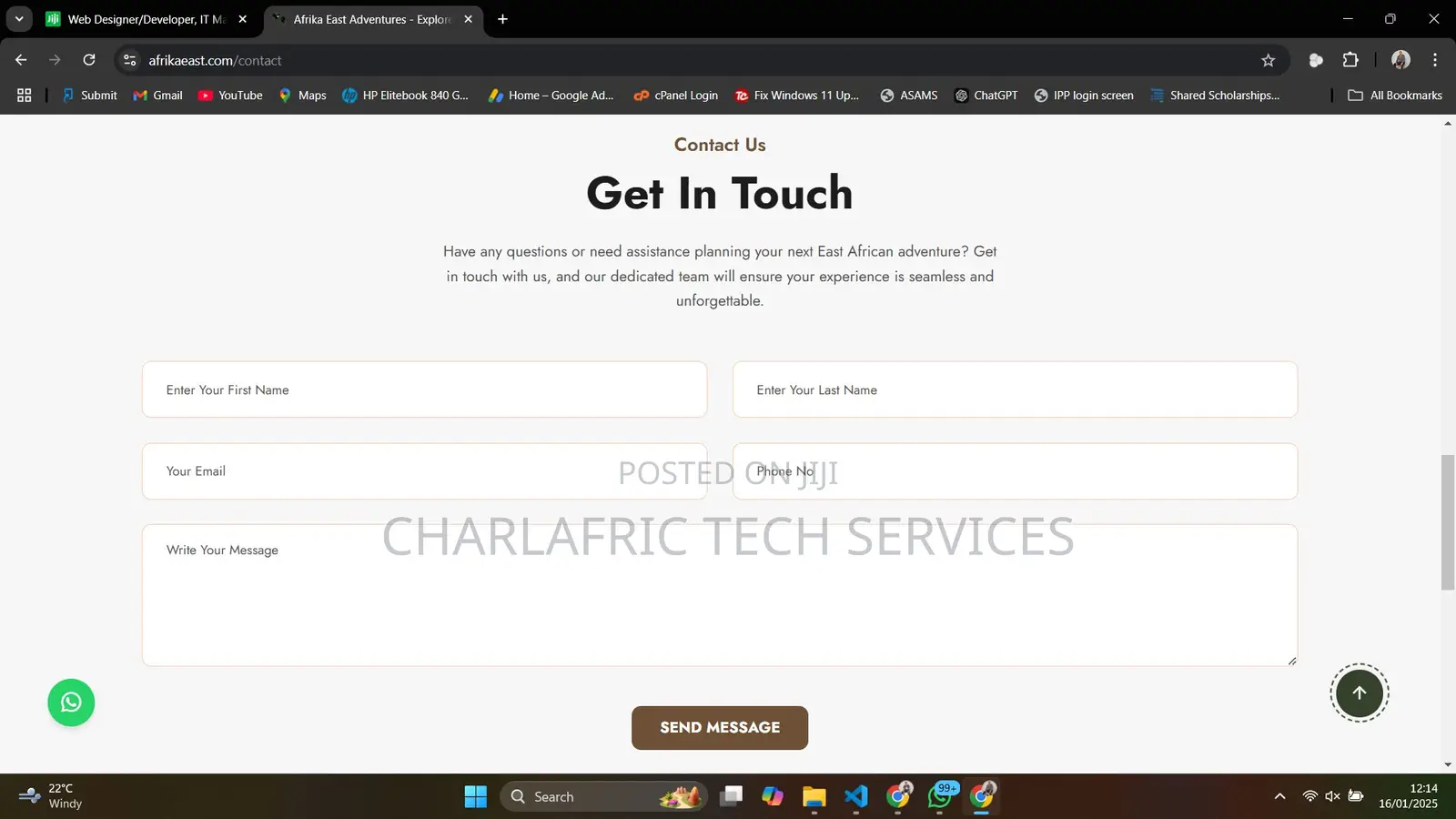 Web Systems/Website Designer Developer, It Manager