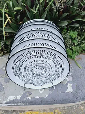 6pcs Ceramic Dinner Plates*