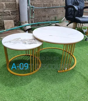Twin Marble Coffee Table