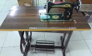 Sewing Machine Singer - Professional