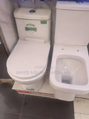 Toilet Seat Is Sawa Every Shape