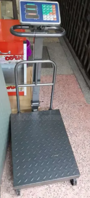 Digital Platform Weighing Machine 600kg Computing Scale