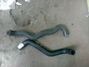 Shark 5L Horse Pipe