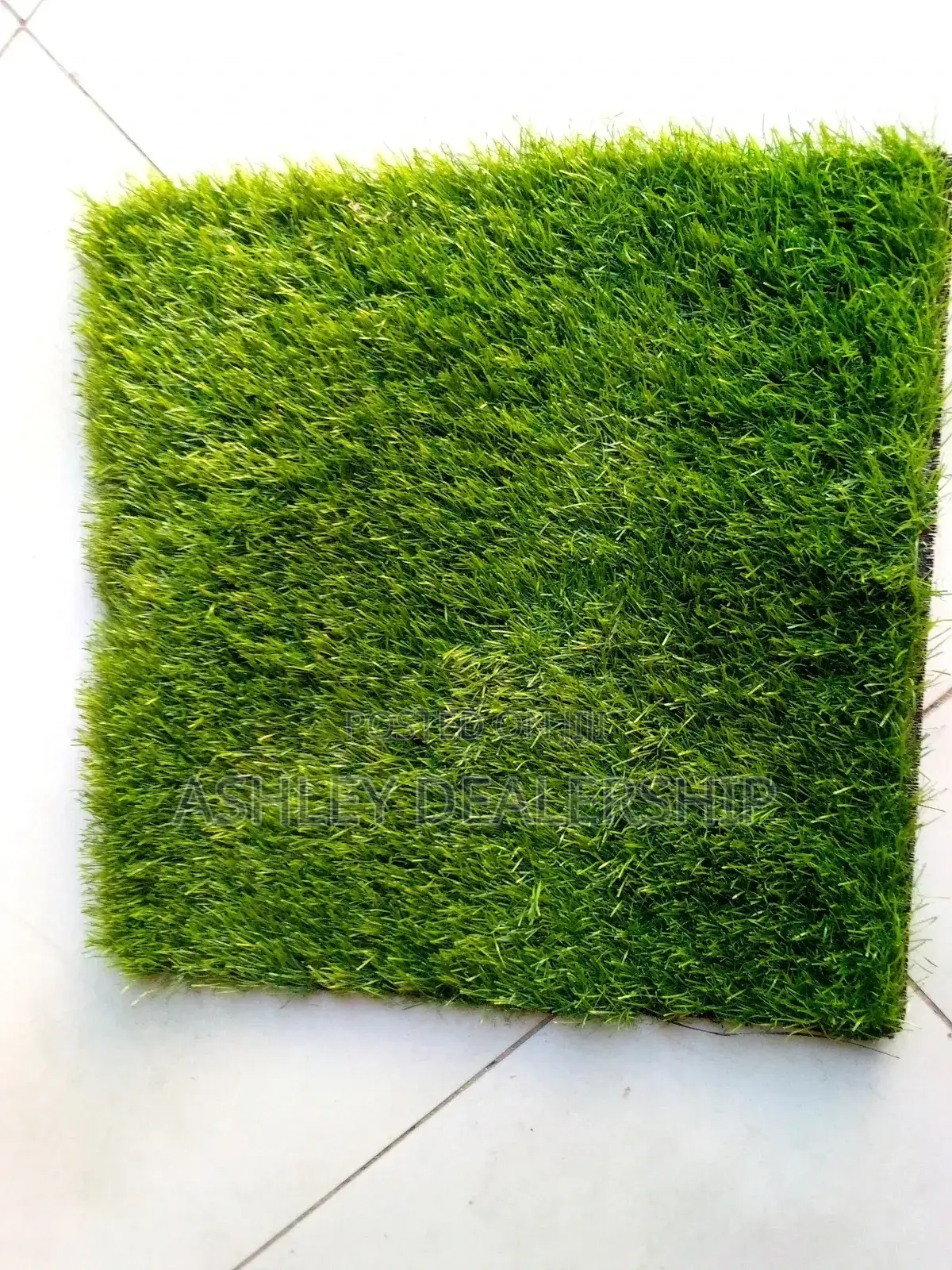 Grass Carpet