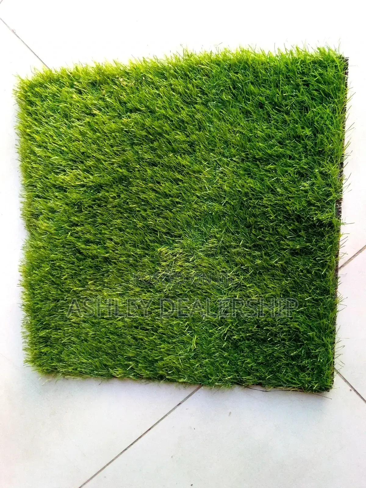 Grass Carpet