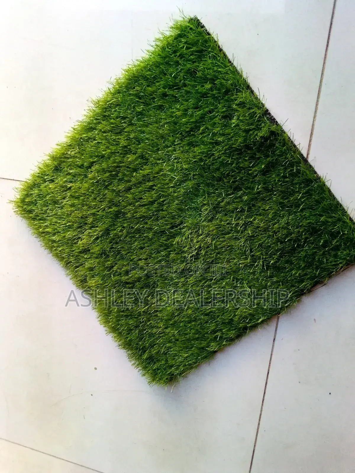 Grass Carpet