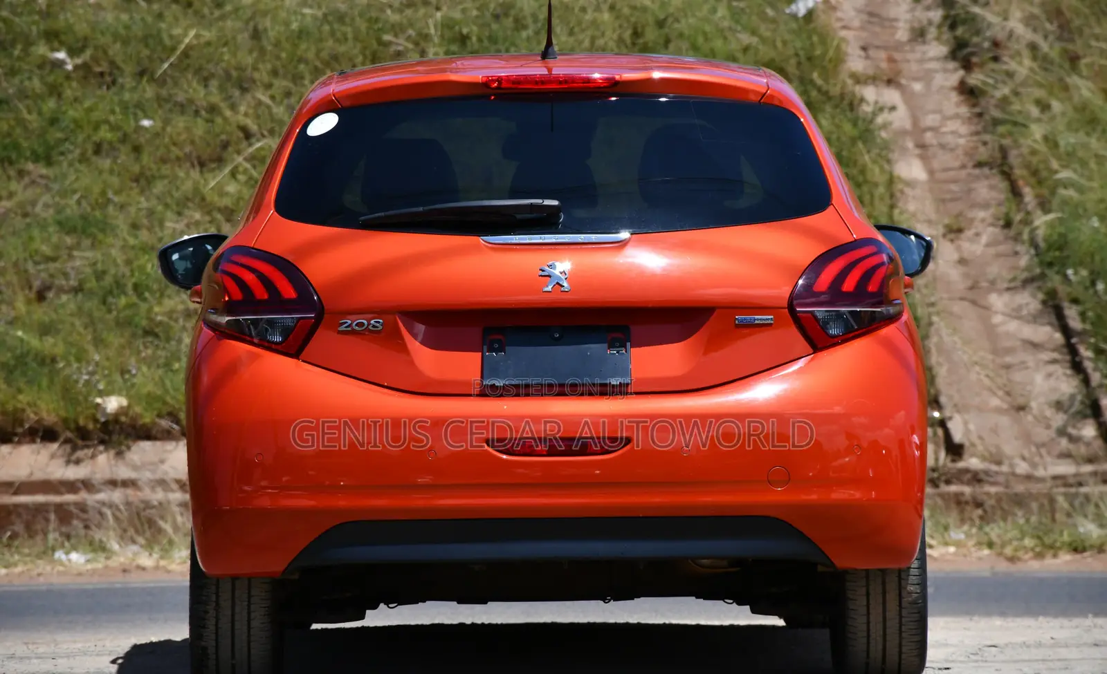 Peugeot 208 2017 Orange