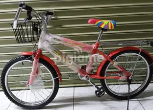 Victory Size 20kids Bike