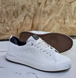 Camel Sizes 40-45