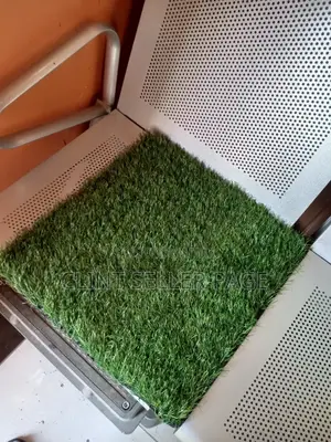 Carpet Grass/Artificial Grass