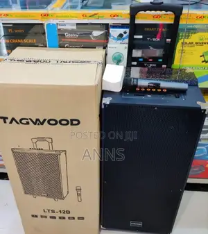 Tagwood 12" Rechargeable Portable Speaker System