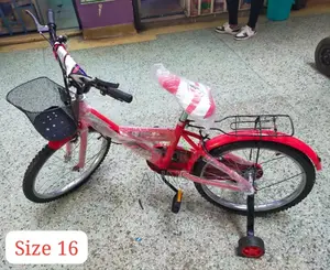 Lion King Size 16 Kids Bike