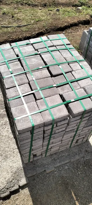 Cabro Paving Blocks (Concrete)