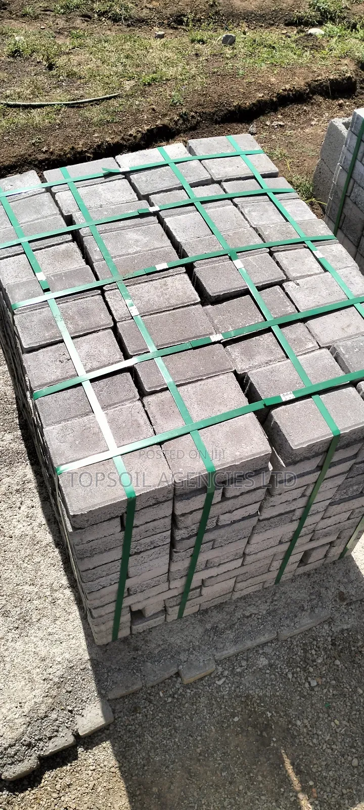 Cabro Paving Blocks (Concrete)