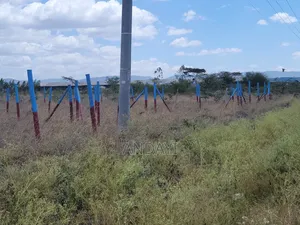 Prime Plots Along Kangundo Road, Kantafu