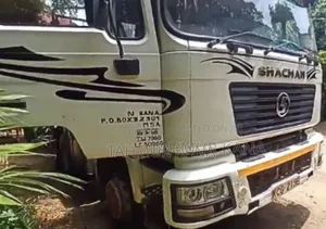 Truck Shacman and Transtrailer