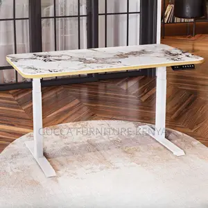 Office Table:120cm Motorized Electric Height Adjustment Desk
