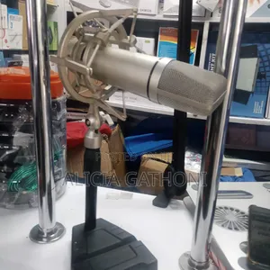 Professional Microphone for Recording and Karaoke