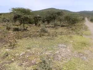 50×100 Plot for Sale in Ngong Kibiku