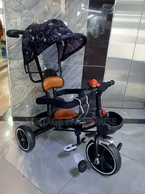 Push Tricycle With Detachable Handle/Canopy