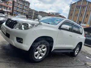 Mobile Car Buffing