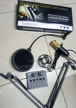 Professional Condenser Microphone